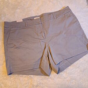 NWT NEW LOFT Womens The Riviera Short Gray Size 24 Plus Chino